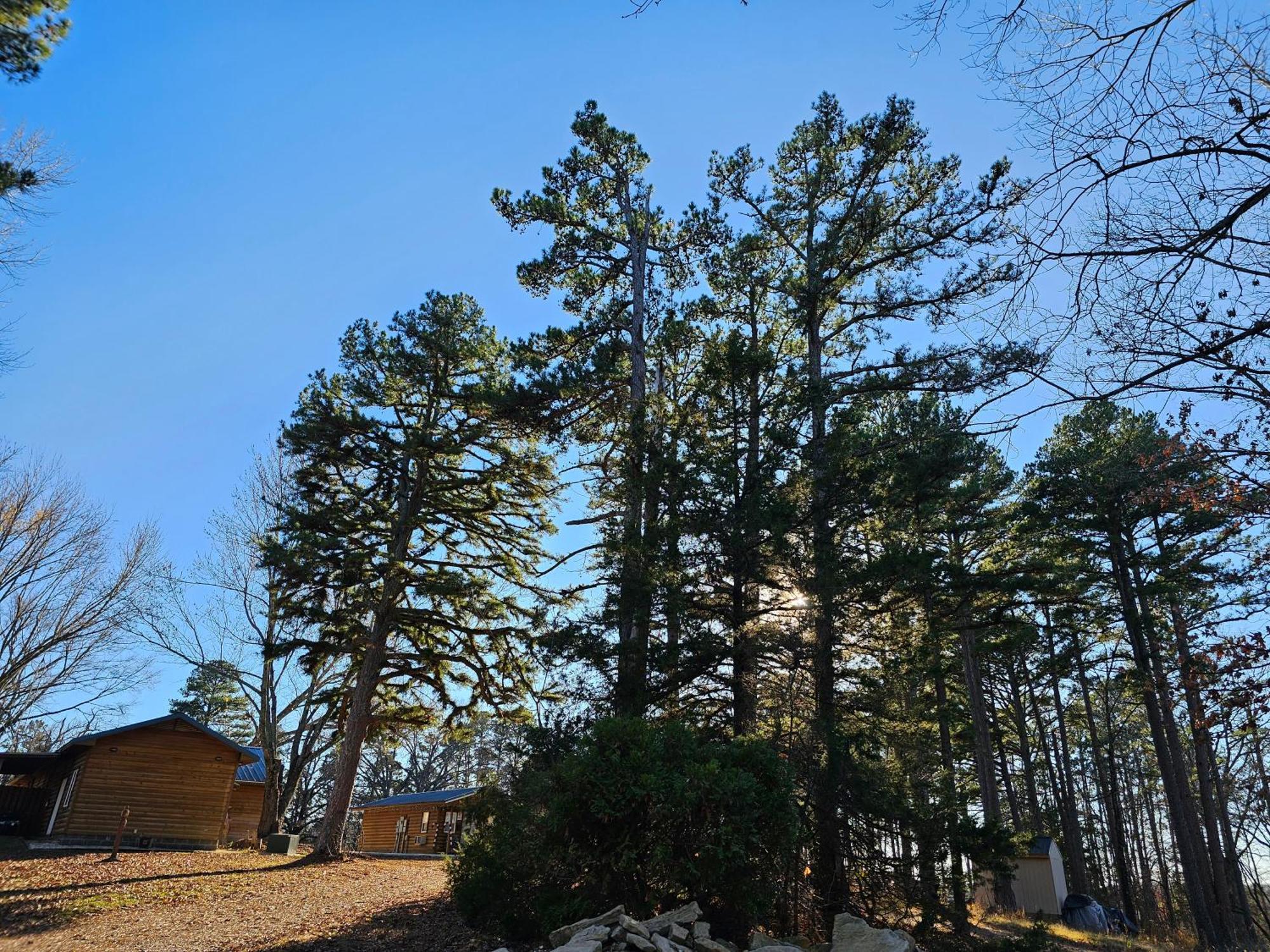5 Min To Beaver Lake-King Bed-Fire Pit-Jetted Tub #4 Eureka Springs Eksteriør bilde