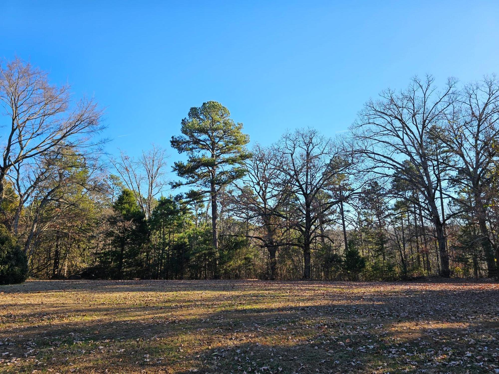 5 Min To Beaver Lake-King Bed-Fire Pit-Jetted Tub #4 Eureka Springs Eksteriør bilde